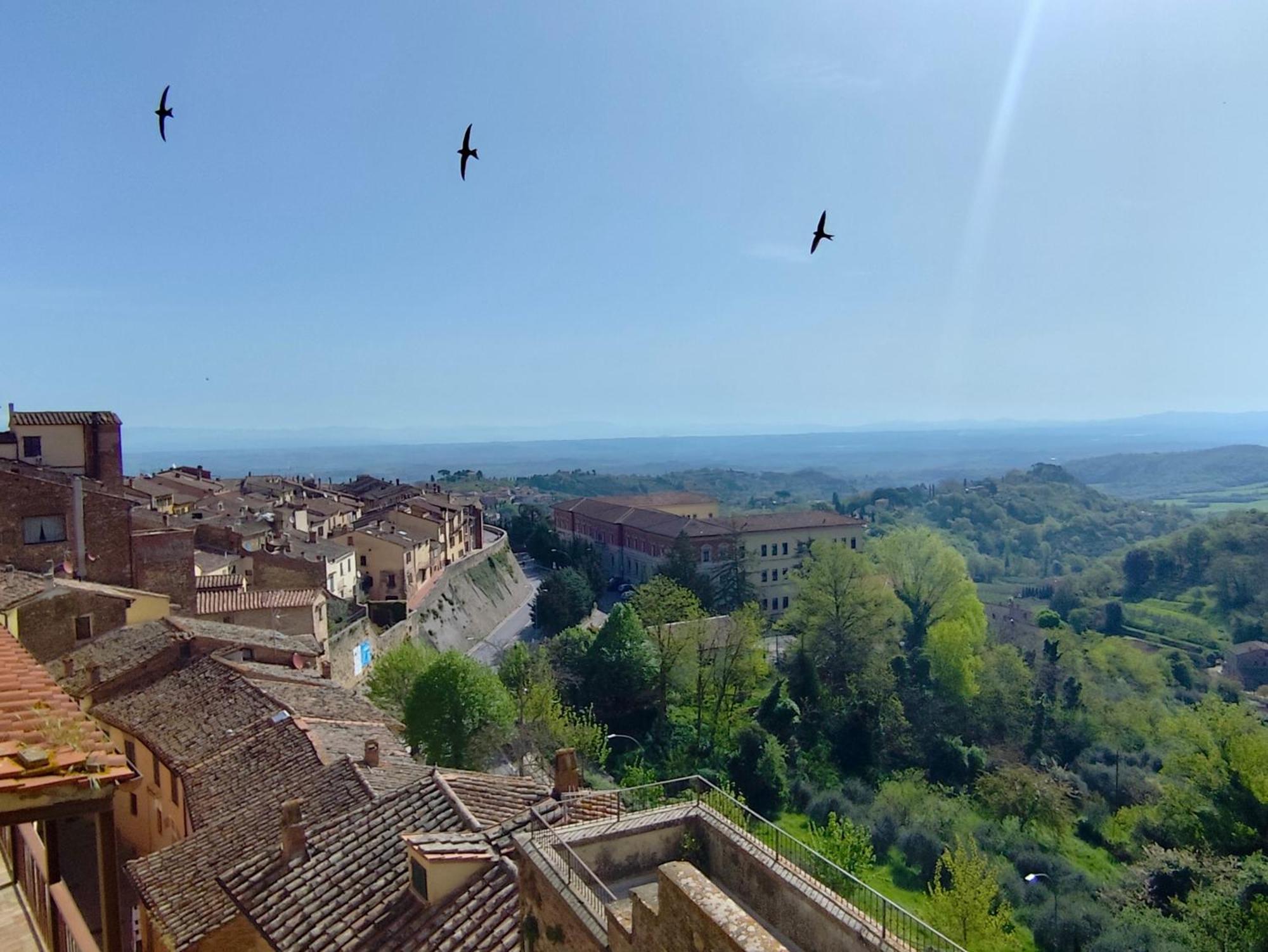 Dimora Dell'Erbe Apartment Montepulciano Zewnętrze zdjęcie